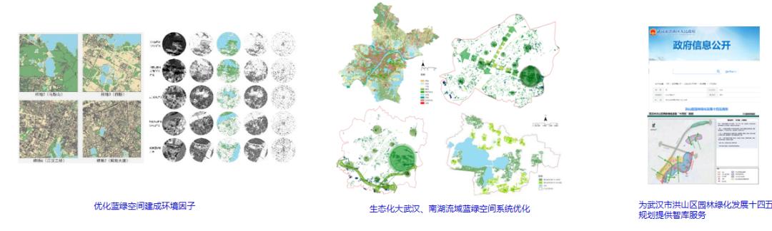 城市蓝绿空间生态效应_城市建成环境与人类活动_生态系统的功能是什么