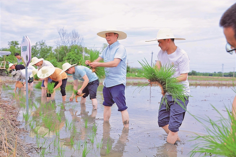 最美自然守护者_生态文明伴我行1500字_习近平生态文明思想