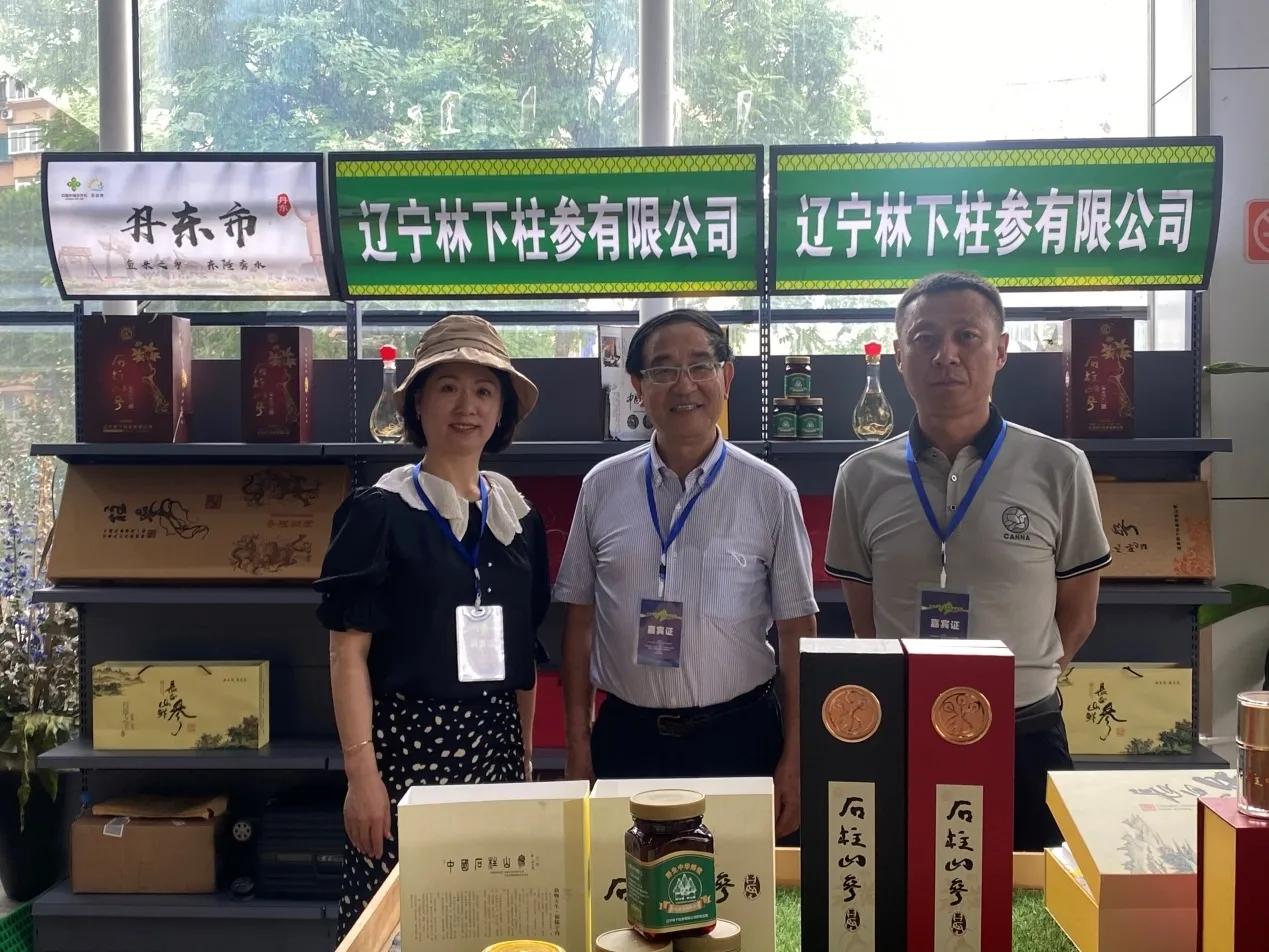 宽甸石柱参推介会_丹东石柱参产地介绍_宽甸镇江石柱参