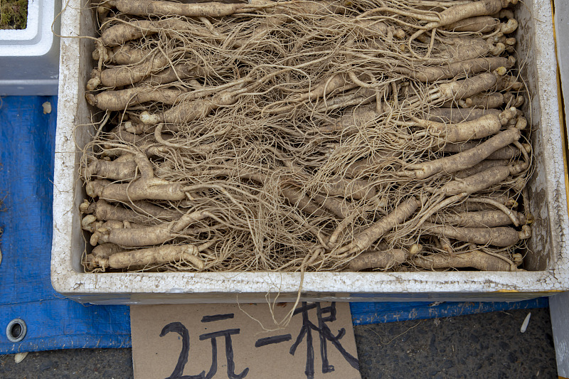 宽甸石柱参中国地理标志产品_辽宁丹东宽甸石柱人参_宽甸镇江石柱参