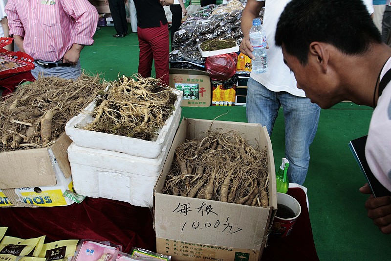 宽甸石柱参中国地理标志产品_辽宁丹东宽甸石柱人参_宽甸镇江石柱参