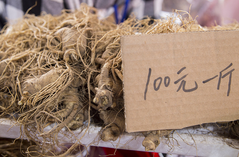 宽甸石柱参中国地理标志产品_辽宁丹东宽甸石柱人参_宽甸镇江石柱参