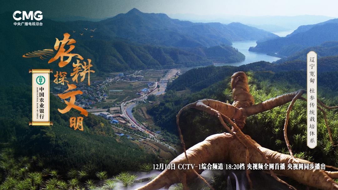 宽甸镇江石柱参_石柱参人工栽培_林下柱参采挖方法