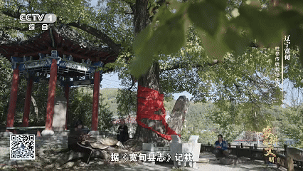 宽甸镇江石柱参_林下柱参 采挖 方法_石柱参 人工栽培 历史