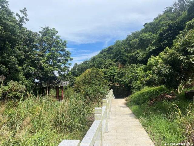 增城南香山森林公园_广州增城区永宁街绿美建设_南香山森林公园生态旅游