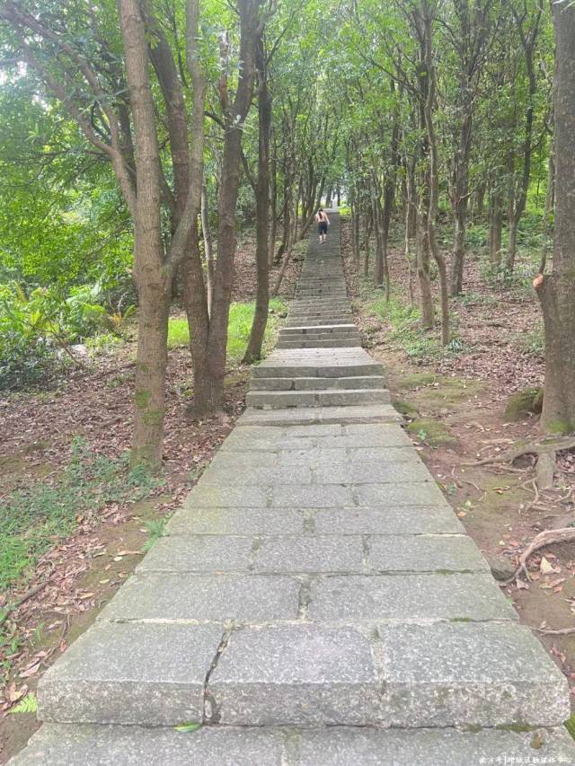 增城南香山森林公园_南香山森林公园生态旅游_广州增城区永宁街绿美建设