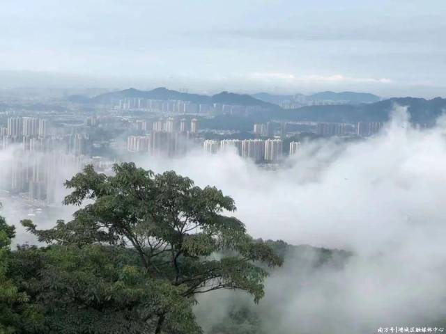 广州增城区永宁街绿美建设_南香山森林公园生态旅游_增城南香山森林公园