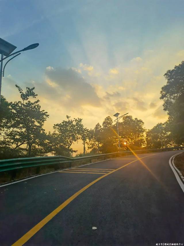 增城南香山森林公园_南香山森林公园生态旅游_广州增城区永宁街绿美建设