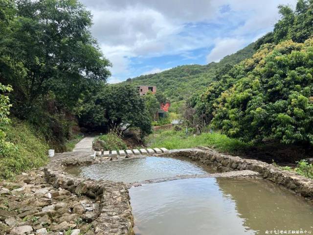 南香山森林公园生态旅游_增城南香山森林公园_广州增城区永宁街绿美建设