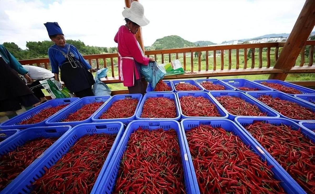 杨颖素颜丑照_杨颖深夜带病小海绵就医 网友曝光憔悴现身医院 疯马秀风波事业低谷