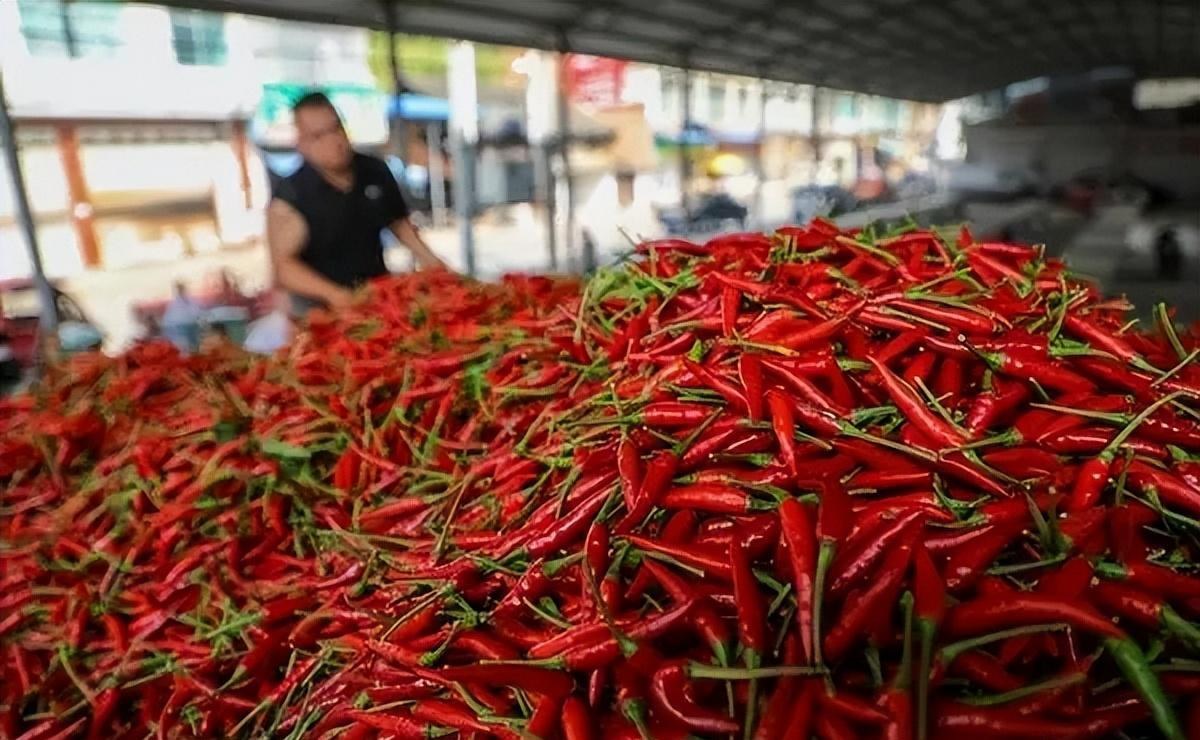 杨颖素颜丑照_杨颖深夜带病小海绵就医 网友曝光憔悴现身医院 疯马秀风波事业低谷