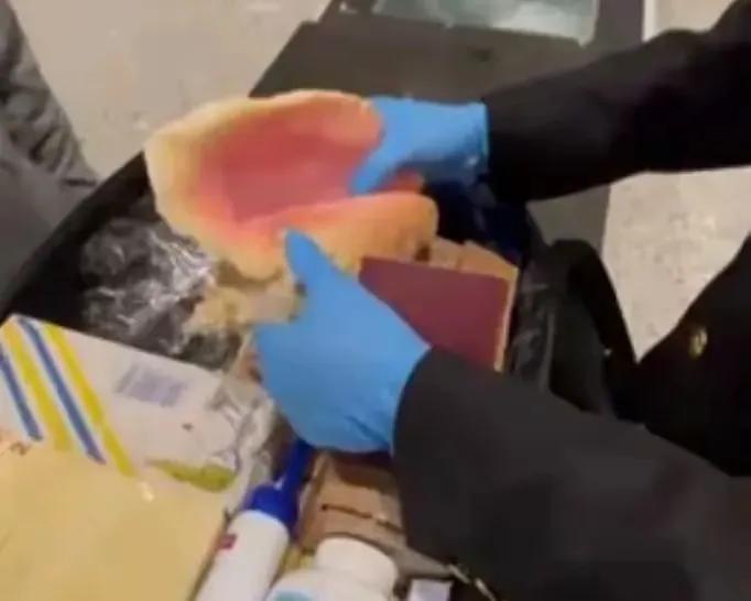 广州白云国际机场 巨型女王凤凰螺 截获事件_女皇凤凰螺