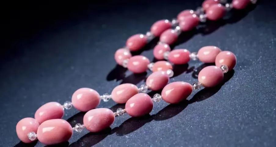 女皇凤凰螺_广州白云国际机场 巨型女王凤凰螺 截获事件