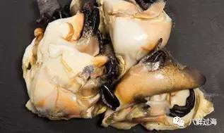 女王凤凰螺珍珠特点_女王凤凰螺分布区域_女皇凤凰螺