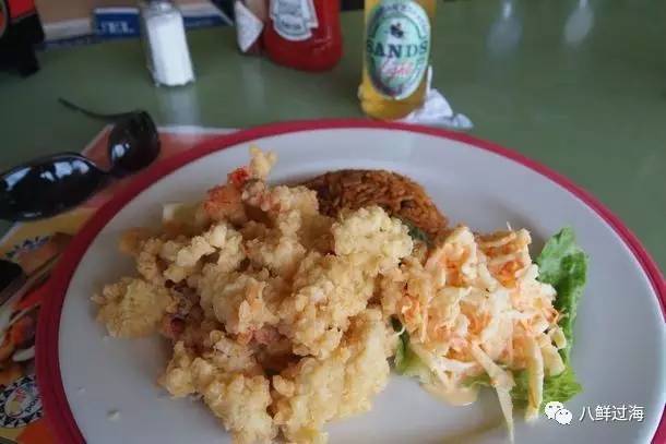 女王凤凰螺分布区域_女皇凤凰螺_女王凤凰螺珍珠特点