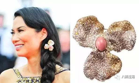 女王凤凰螺分布区域_女皇凤凰螺_女王凤凰螺珍珠特点