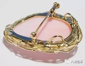 女皇凤凰螺_女王凤凰螺分布区域_女王凤凰螺珍珠特点