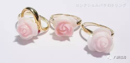 女王凤凰螺珍珠特点_女王凤凰螺分布区域_女皇凤凰螺