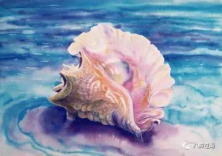 女皇凤凰螺_女王凤凰螺珍珠特点_女王凤凰螺分布区域