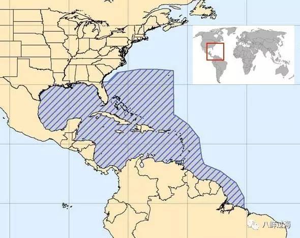 女王凤凰螺珍珠特点_女王凤凰螺分布区域_女皇凤凰螺