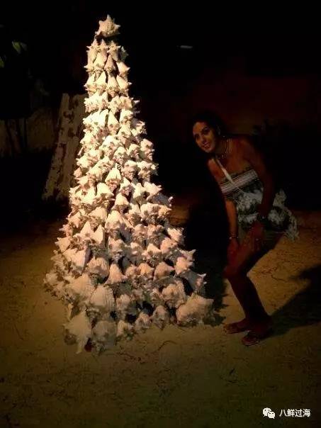 女皇凤凰螺_女王凤凰螺珍珠特点_女王凤凰螺分布区域