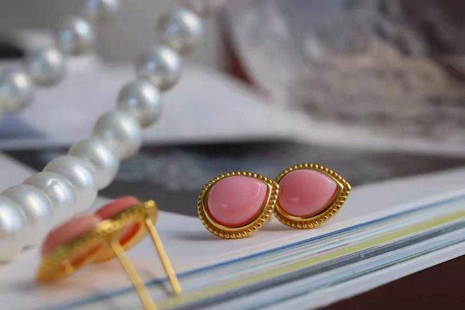 女王凤凰螺特征分布_女皇凤凰螺_女王凤凰螺介绍