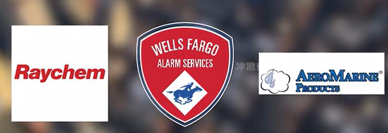 科兹洛夫斯基财务欺诈_泰科公司治理生态与财务舞弊案例剖析_泰科国际集团会计舞弊案