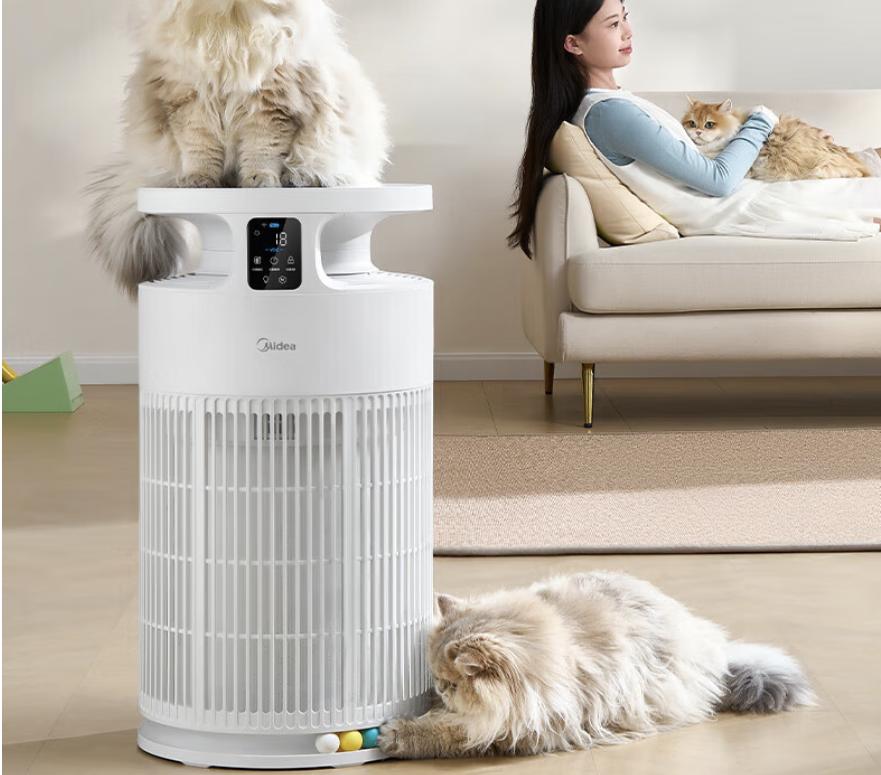 多大的猫可以吃猫薄荷_宠物空净与普通空净区别_养宠空气净化器选购指南