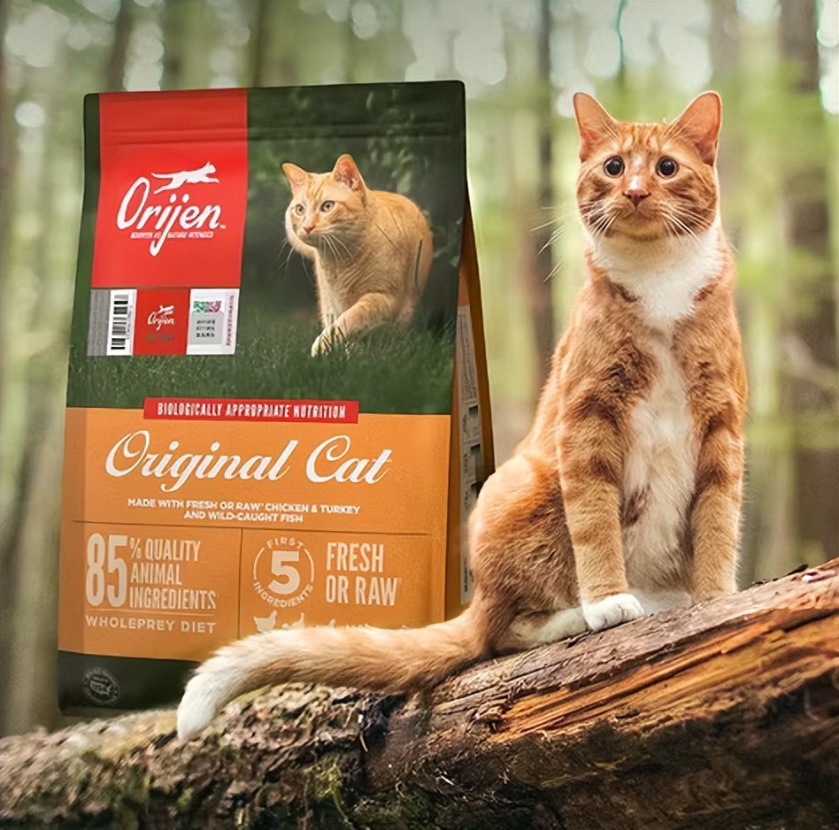 优质猫粮选购标准_猫一个月吃多少斤猫粮_多大的猫可以吃猫薄荷