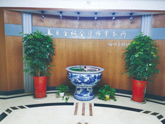 泰科公司治理生态与财务舞弊案例剖析_苏亚金诚会计师事务所行政处罚_苏亚金诚审计函证缺陷