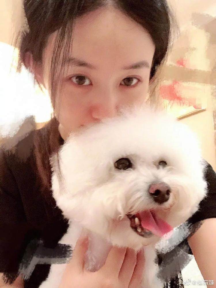 杨幂评价赵丽颖_赵丽颖复出 有翡 王一博转型困境