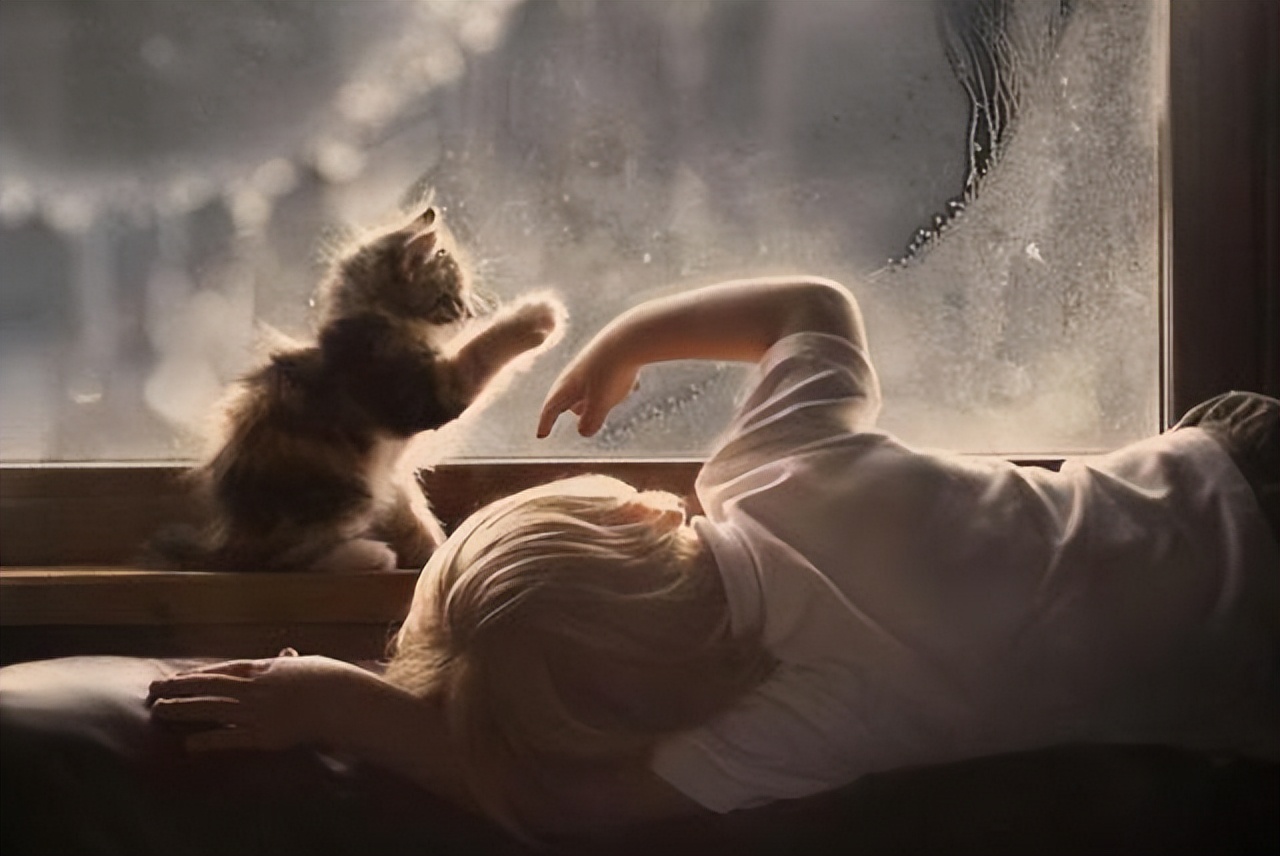 个人主义表现_自我中心问题_比较自我的人格是什么