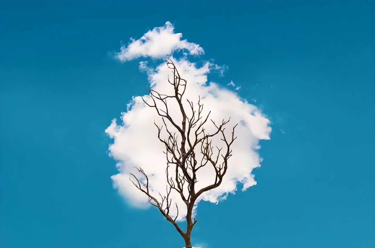 个人主义表现_比较自我的人格是什么_自我中心问题