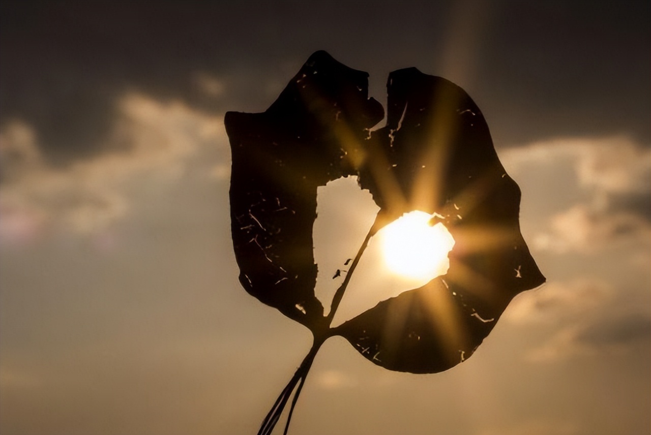 比较自我的人格是什么_个人主义表现_自我中心问题