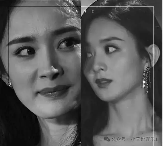 杨幂成熟魅力赵丽颖甜美气质_杨幂赵丽颖同框气质差异_杨幂评价赵丽颖