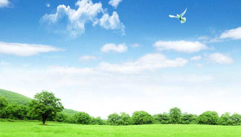 国企文化形成过程与民企对比_民营企业文化建设意义_:国企文化建设与民企文化建设差异