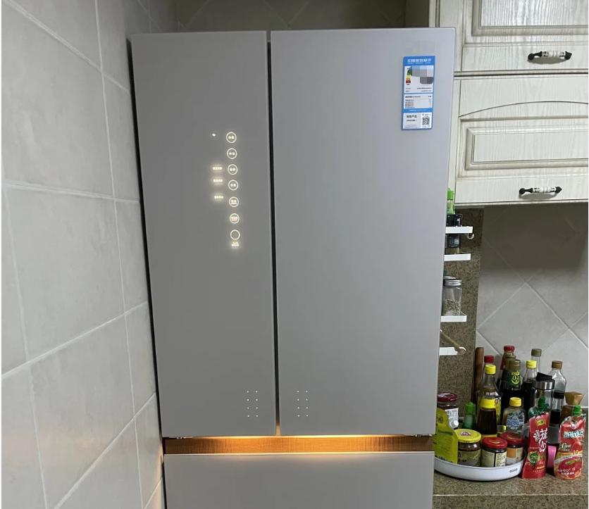 萤火虫人工养殖_萤火虫饲养方法_中国昆虫生态大图鉴