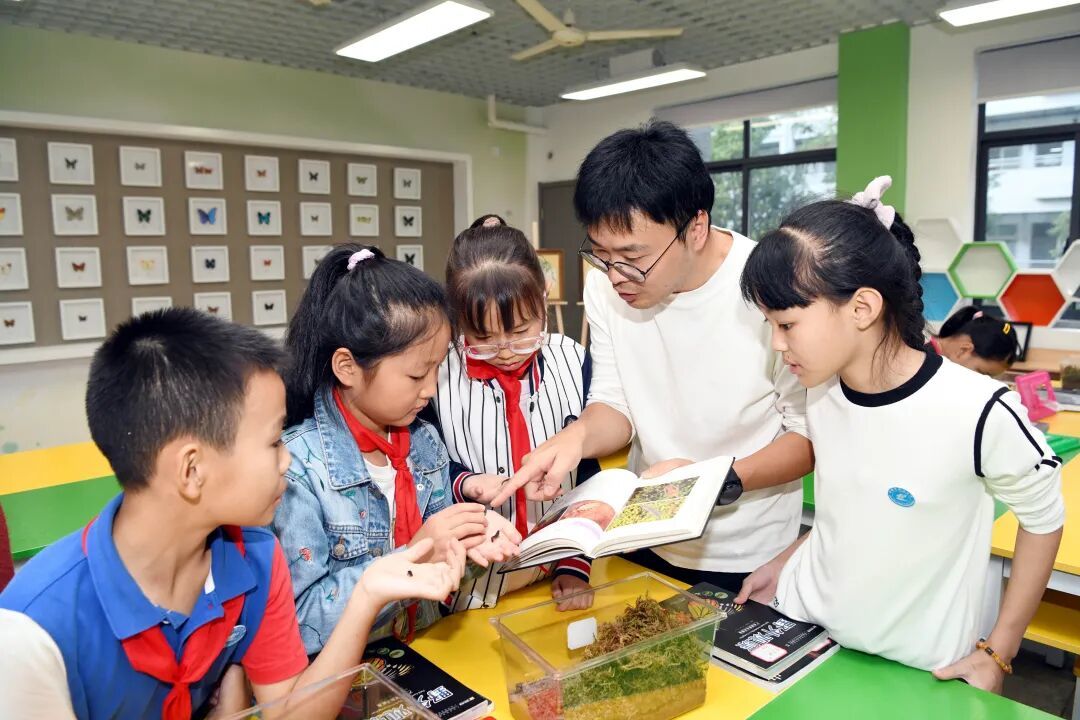 萤火虫人工养殖_中国昆虫生态大图鉴_萤火虫饲养方法