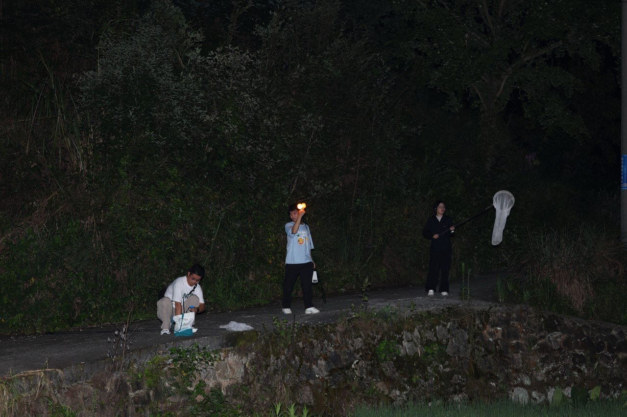 中国昆虫生态大图鉴_萤火虫饲养方法_萤火虫人工养殖