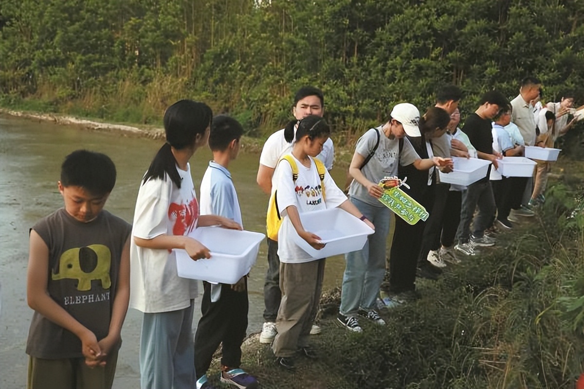 萤火虫人工养殖_萤火虫饲养方法_中国昆虫生态大图鉴