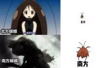 国产ai激光“灭蚊神器”海外爆单_激光除蟑螂_人工智能捕捉蟑螂