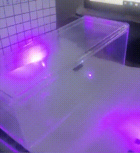 激光除蟑螂_国产ai激光“灭蚊神器”海外爆单_人工智能捕捉蟑螂