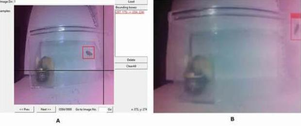 激光除蟑螂_人工智能捕捉蟑螂_国产ai激光“灭蚊神器”海外爆单