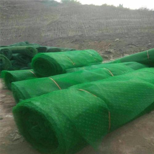 三维生态护坡_三维植被网护坡技术_三维网搭接宽度