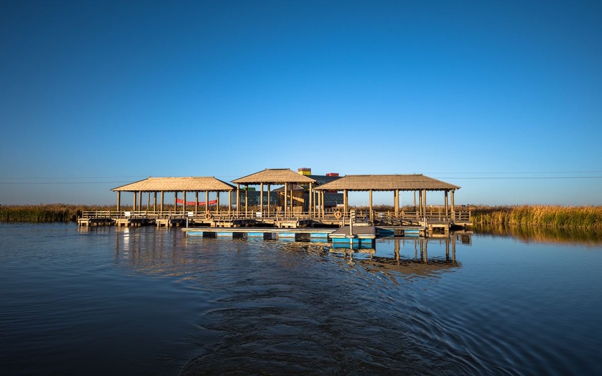 黄河口生态旅游区观鸟_黄河口生态旅游区门票团购_黄河口湿地旅游攻略