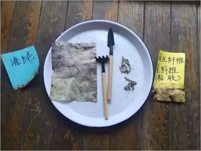 酒店女士湿巾有什么作用_湿巾选用方法_湿巾发展历史