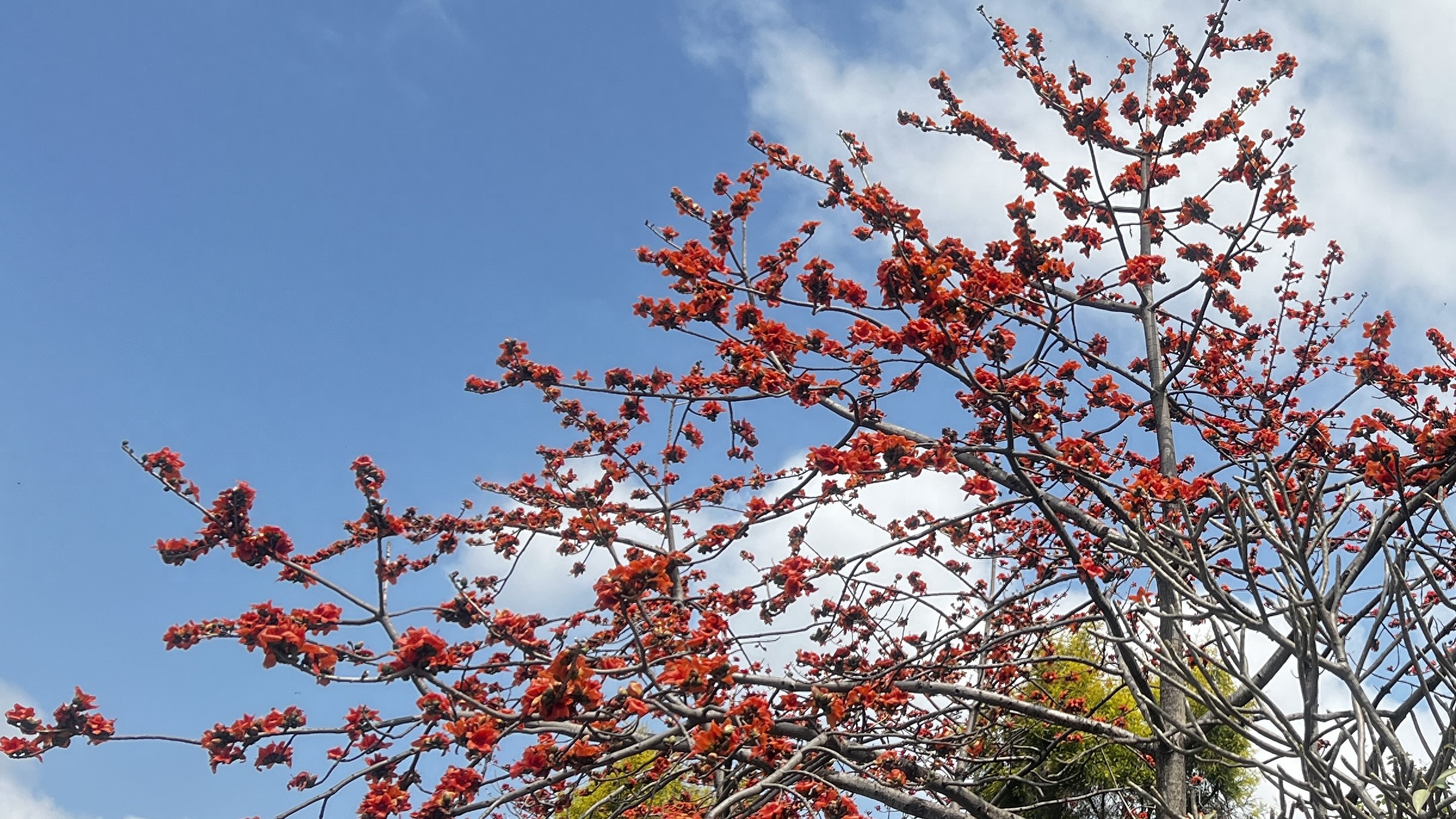 技术工具化教育误区_人工智能赋能教育_如何培养教师的创造力