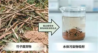 低能耗废弃物资源化利用_竹废弃物生物炭吸附剂_生物质碳用途
