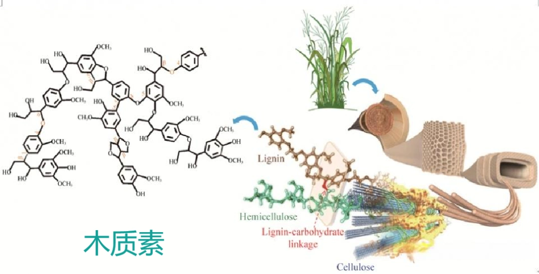 汉禾生物 秸秆合成生物制造 非粮PLA_生物质碳用途