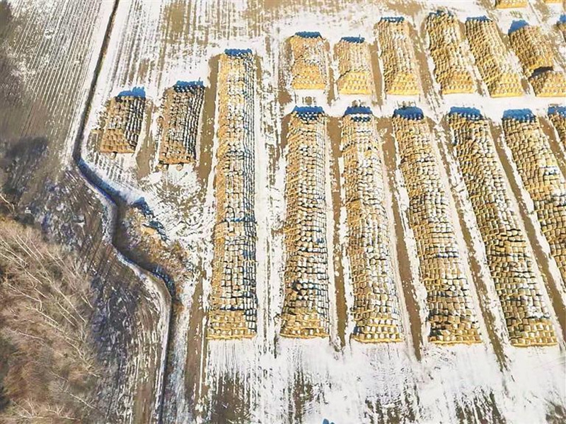 生物质碳用途_肥料化秸秆还田_秸秆综合利用